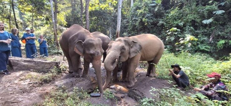 Chiang Mai: Elephants, Hill Tribe Stay, Rafting, Waterfall - Activity Details