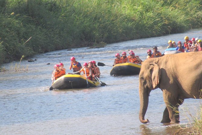 Chiang Mai Elephants, Trekking, and Rafting Group Tour - Common Questions