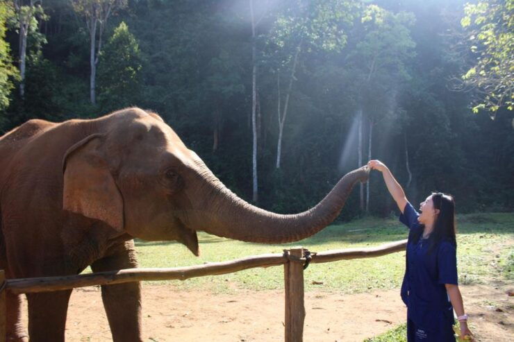 Chiang Mai: Elephants, Waterfall, and White Water Rafting - Activity Details