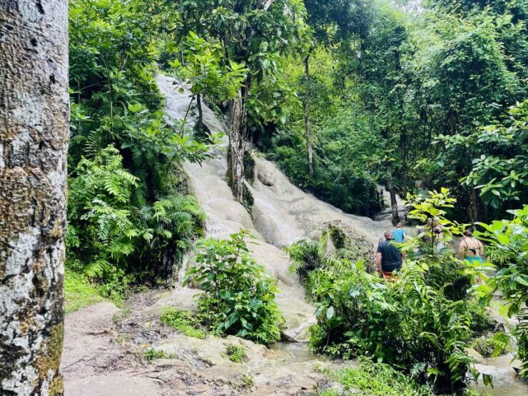 Chiang Mai: Enjoy Climbing Sticky Waterfall - Discover the National Parks Beauty