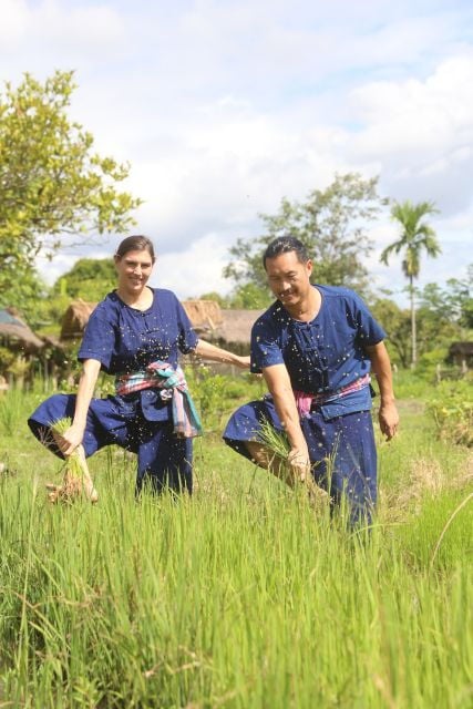 Chiang Mai: Enjoy Showering Thai Buffalo & Rice Planting - Activity Details