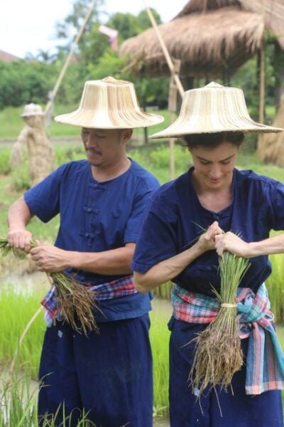 Chiang Mai: Enjoy Showering Thai Buffalo & Rice Planting - Booking and Contact Information