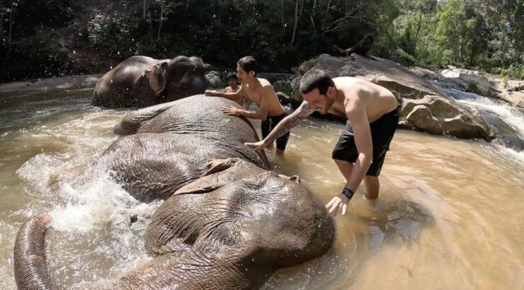 Chiang Mai : Ethical Elephant Sanctuary and ATV Adventure - Activity Details
