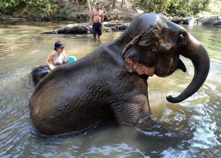 Chiang Mai : Ethical Elephant Sanctuary and ATV Adventure - Highlights