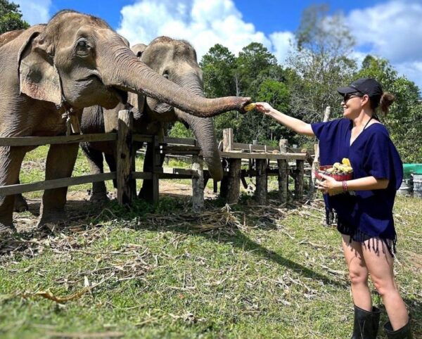 Chiang Mai : Ethical Elephant Sanctuary and ATV Adventure - The Sum Up