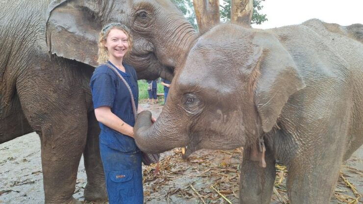 Chiang Mai: Ethical Elephant Sanctuary Day Tour & Lunch - Tour Highlights