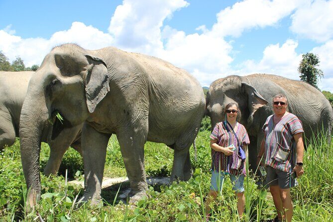 Chiang Mai Ethical Watching Elephant Sanctuary tour - An Honest Look at the Chiang Mai Elephant Sanctuary Experience