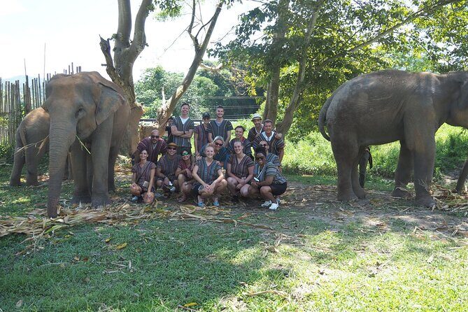 Chiang Mai Ethical Watching Elephant Sanctuary tour - The Value of This Tour