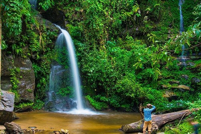 Chiang Mai - Exclusive Trek to Doi Suthep - Reviews