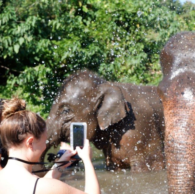 Chiang Mai: Explore Forests to Waterfalls and Water Rafting - Good To Know