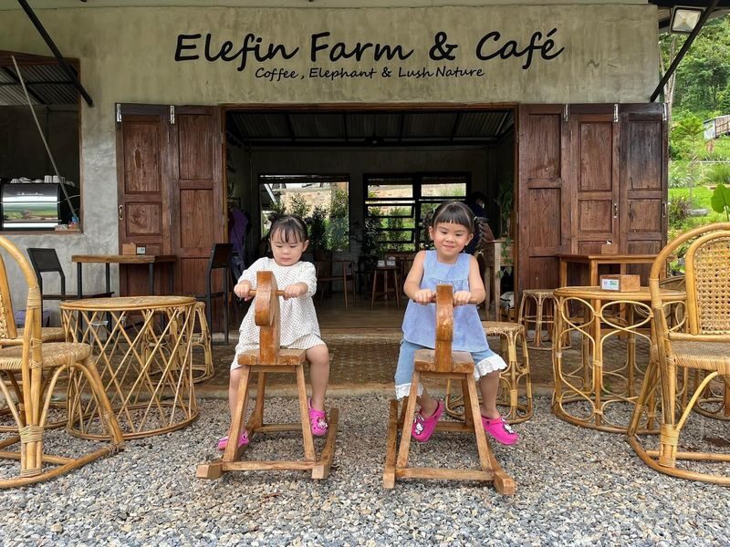 Chiang Mai Farm with Elephant Experience & Market Tour - Bua Thong Sticky Waterfall: the more active alternative