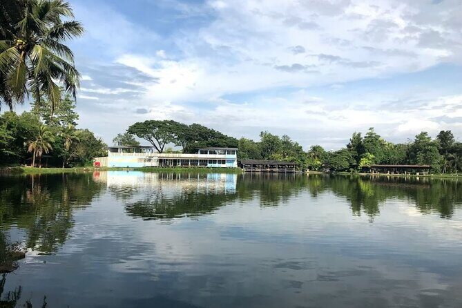 Chiang Mai Fishing Park Day with Round Trip Pickup - An Authentic, Laid-Back Fishing Experience  
