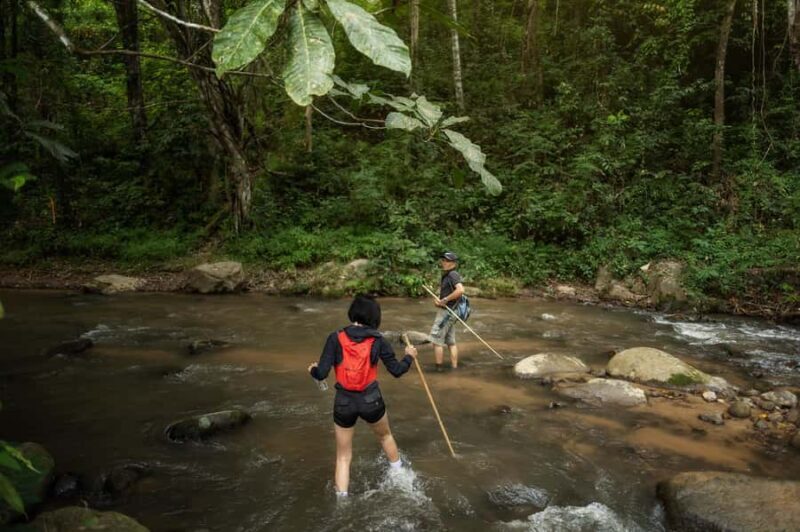 Chiang Mai : Follow the River in Chiang Dao Full Day Hiking - Scenic Highlights: From Forests to Waterfalls