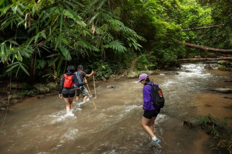 Chiang Mai : Follow the River in Chiang Dao Full Day Hiking - Who Is This Tour For?