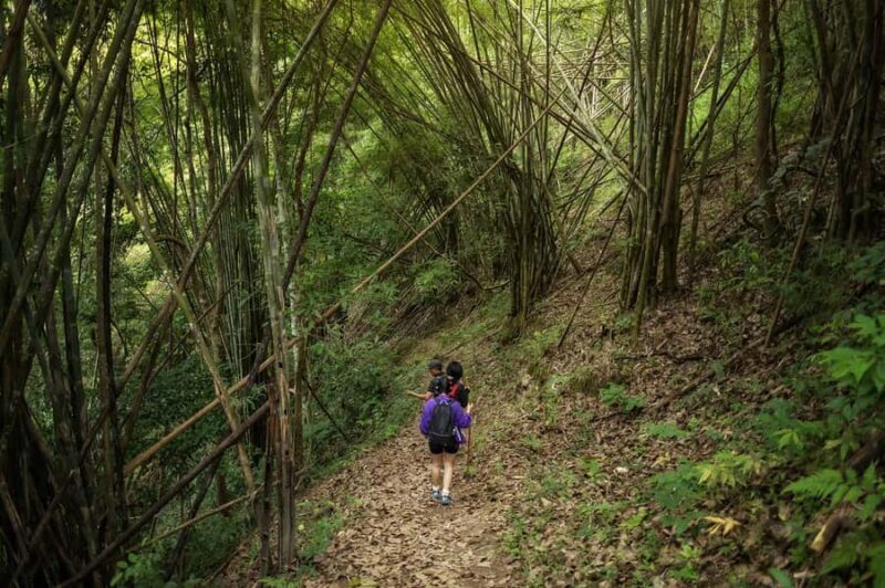 Chiang Mai : Follow the River in Chiang Dao Full Day Hiking - FAQ
