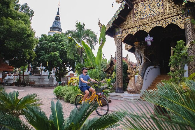 Chiang Mai Food 4-Hour Bicycle Tour - The Sum Up