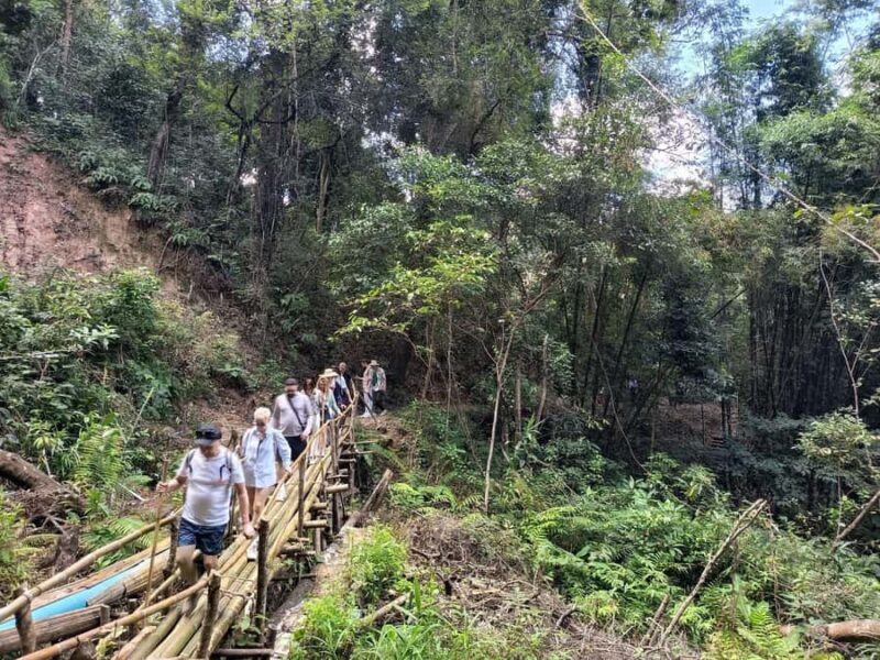 Chiang Mai: Forest Trekking & Visit Hill Tribe Village - Why This Tour Offers Great Value
