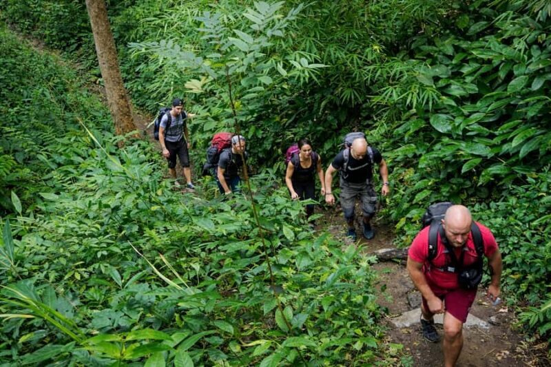 Chiang Mai: Forest Trekking & Visit Hill Tribe Village - Final Thoughts: Who Will Love This Tour?
