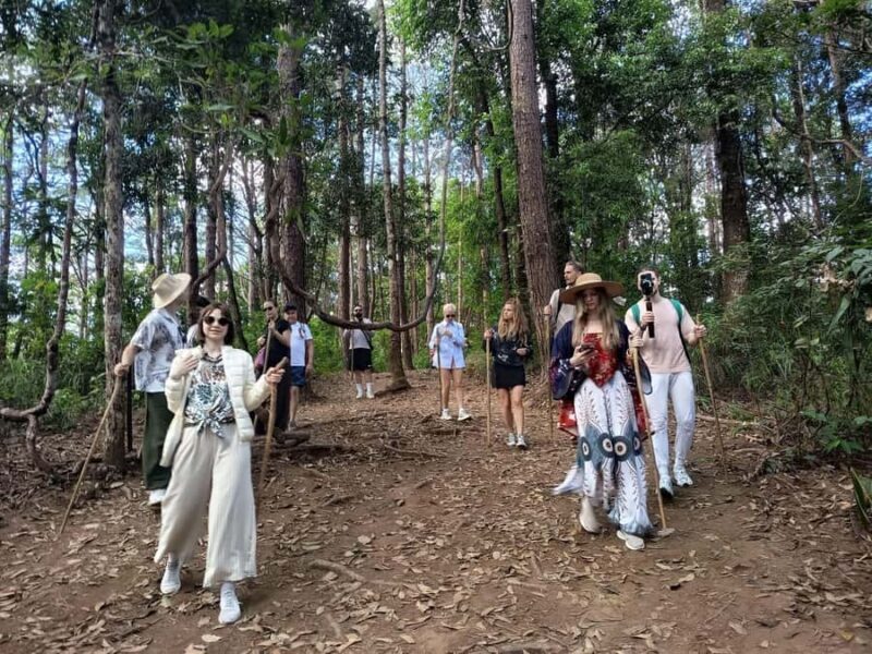 Chiang Mai: Forest Trekking & Visit Hill Tribe Village - Good To Know