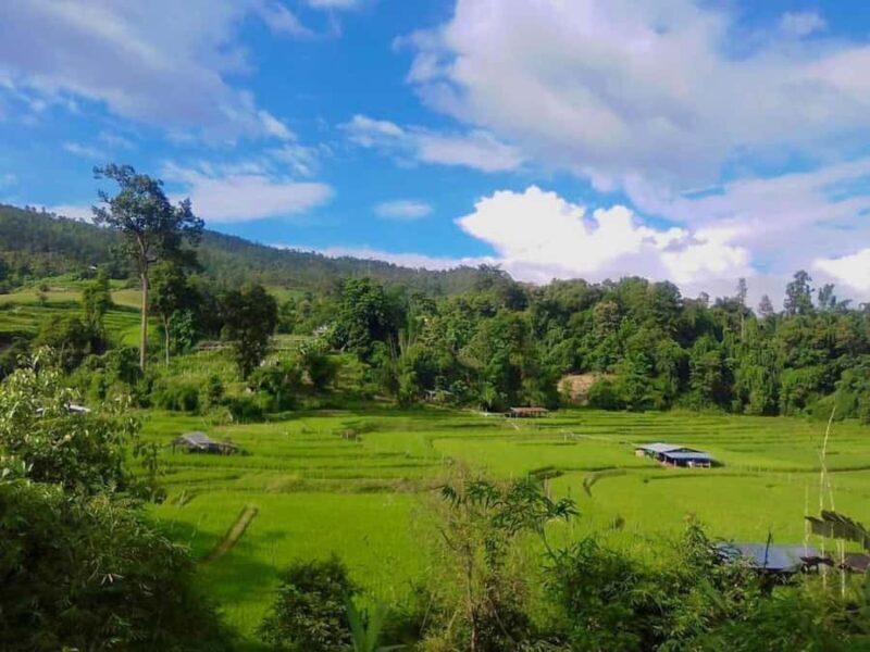 Chiang Mai: Forest Walk & Bamboo Rafting Day Tour - Bamboo Rafting: Easy and Enjoyable