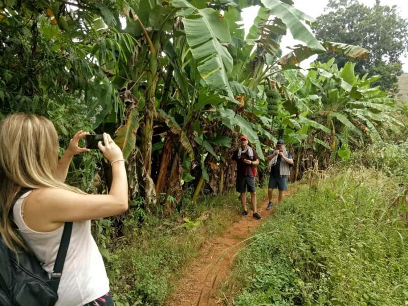 Chiang Mai: Full Day 5 Hill Tribes Tour - FAQ