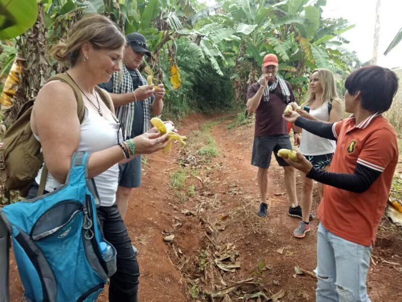 Chiang Mai: Full Day 5 Hill Tribes Tour - Food, Shopping, and Supporting Local Life