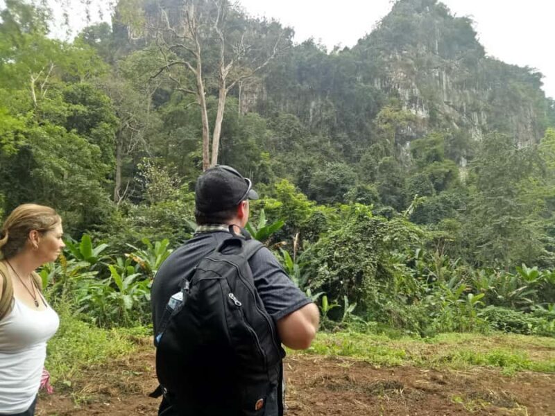 Chiang Mai: Full Day 5 Hill Tribes Tour - Transportation and Group Size