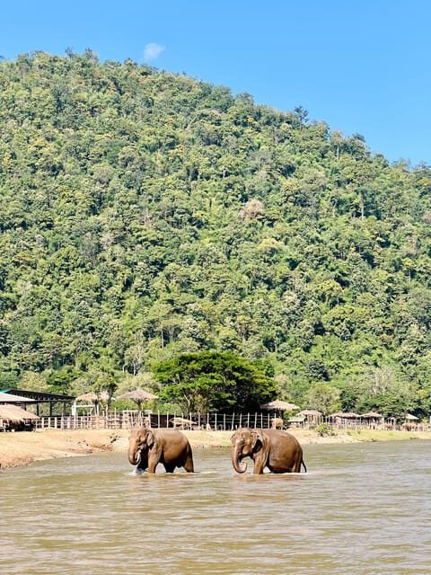 Chiang Mai Full-Day Adventure: Trekking, Tubing & Elephant - FAQ