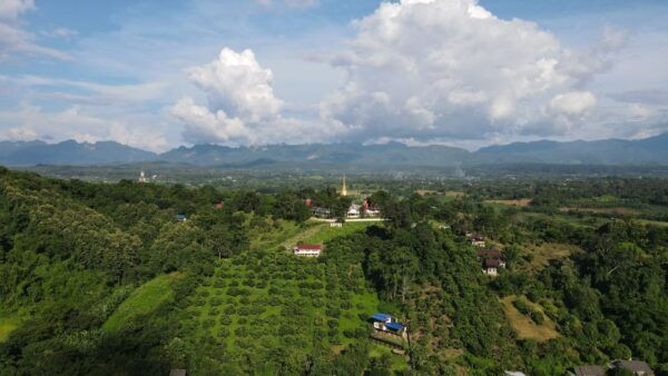 Chiang Mai: Full-Day Chiang Dao Caving & Jungle Kayaking - Duration and Availability