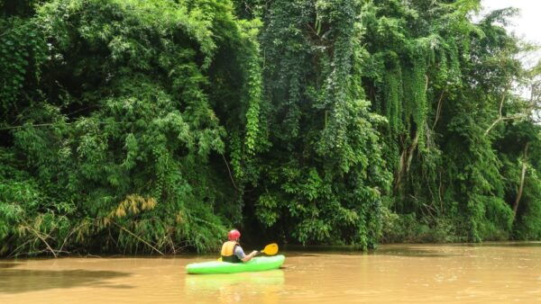 Chiang Mai: Full-Day Chiang Dao Caving & Jungle Kayaking - The Sum Up