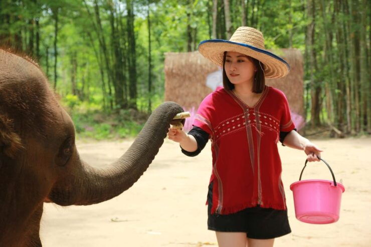 Chiang Mai: Full Day Elephant Eco Park Tour + Bamboo Rafting - What to Bring