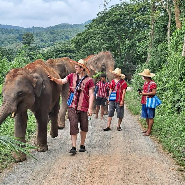 Chiang Mai: Full Day Elephant Eco Park Tour + Bamboo Rafting - Contact Information