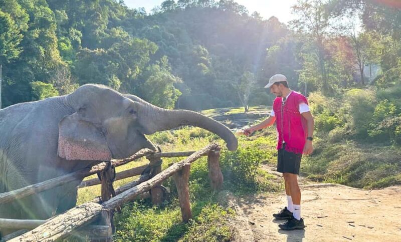 Chiang Mai: Full Day Ethical Elephant Sanctuary & Waterfall - Why Choose This Tour?