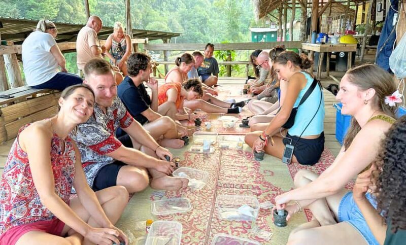 Chiang Mai: Full Day Ethical Elephant Sanctuary & Waterfall - Final Thoughts