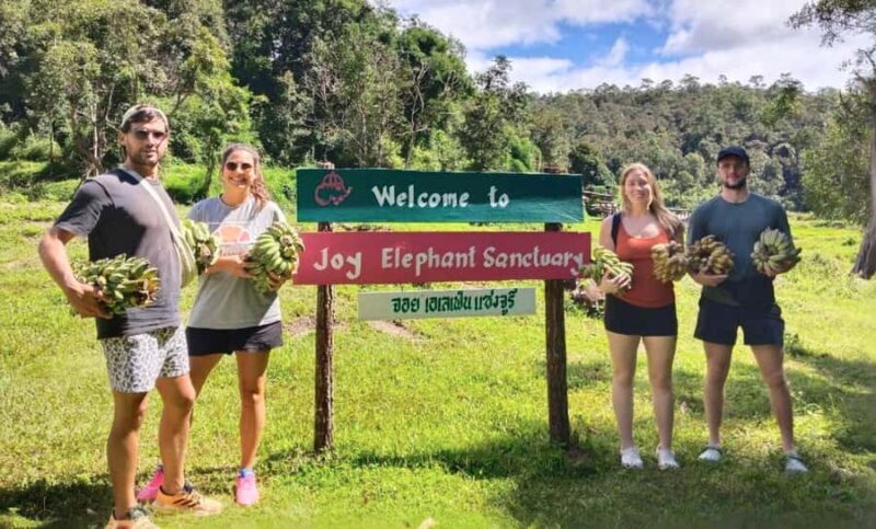 Chiang Mai: Full Day Ethical Elephant Sanctuary & Waterfall - Good To Know