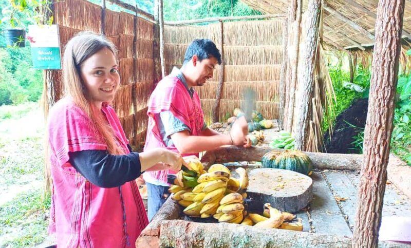 Chiang Mai: Full Day Ethical Elephant Sanctuary & Waterfall - Why Choose This Tour?