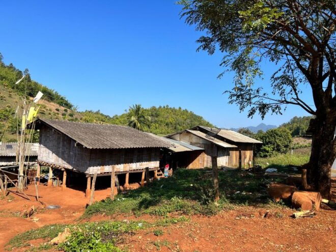 Chiang Mai: Full Day Exprience 5 Hill Tribes Trek - Additional Information