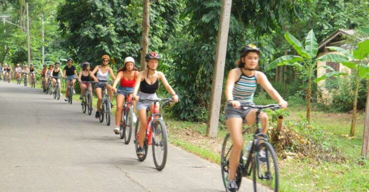 Chiang Mai: Full-Day Guided Bike & Regional Culture Tour - Good To Know