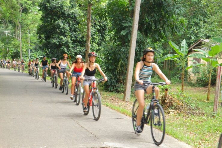 Chiang Mai: Full-Day Guided Bike & Regional Culture Tour - Pickup and Cancellation Policy