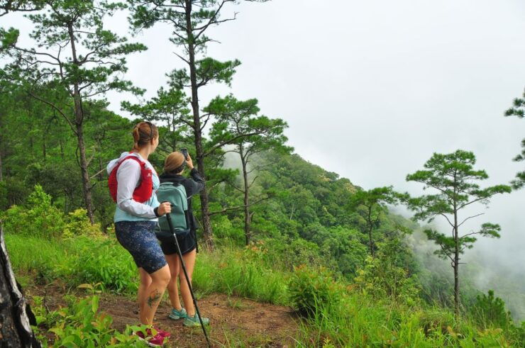 Chiang Mai: Full-Day Hiking Tour by Trailhead - Activity Details