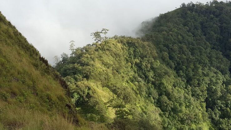 Chiang Mai: Full-Day Hiking Tour by Trailhead - Experience Highlights