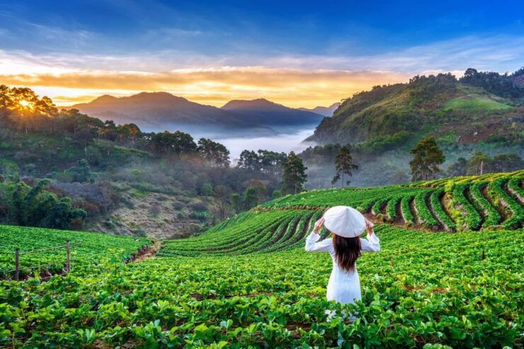 Chiang Mai: Full-Day Private Car Charter to Doi Ang Khang - Pricing Details