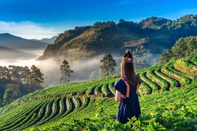 Chiang Mai: Full-Day Private Car Charter to Doi Ang Khang - Daily Itinerary