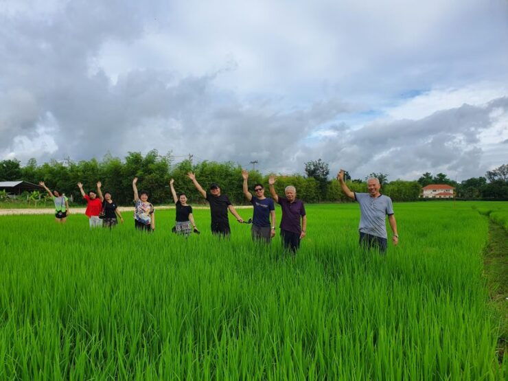 Chiang Mai: Full-Day Yoga & Meditation Experience With Lunch - Activity Details