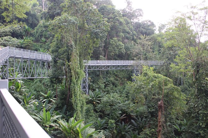 Chiang Mai Garden, Hill Tribes, and Elephants Day Out - Questions and Information