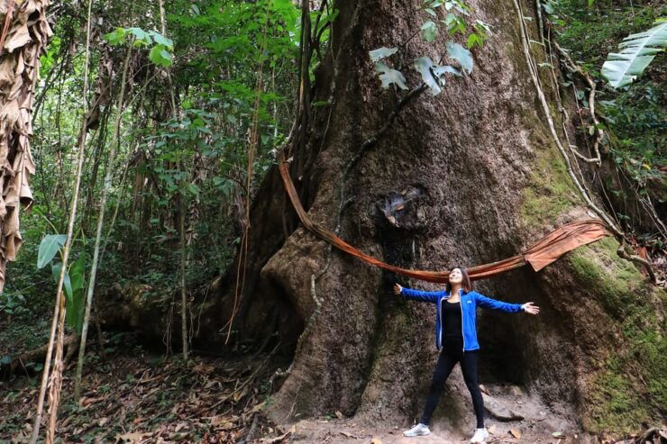 Chiang Mai: Gibbons, Trekking & Mae Kampong Small Group Tour - Key Points