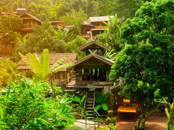 Chiang Mai: Gibbons, Trekking & Mae Kampong Small Group Tour - Questions You May Have