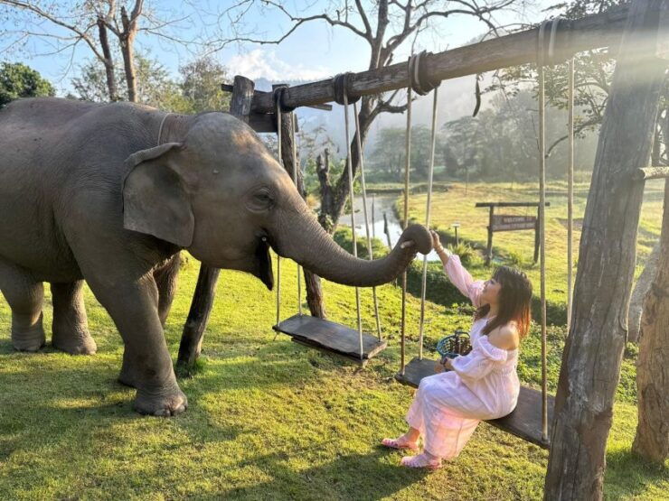 Chiang Mai: Good Morning Elephant & Overnight Home Stay - Booking Information