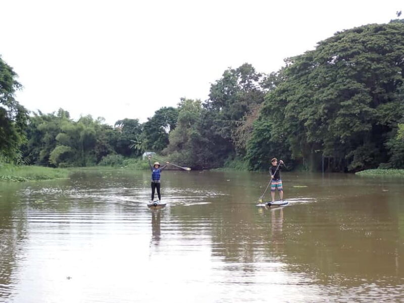 Chiang Mai: Guided Nature SUP Adventure - Authenticity and Experience
