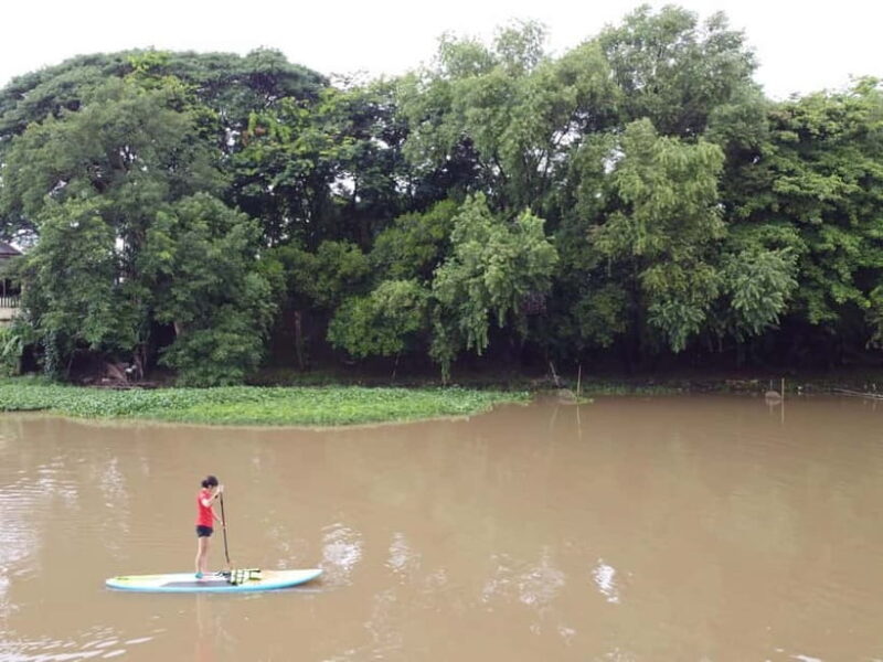 Chiang Mai: Guided Nature SUP Adventure - Who Should Consider This Tour?
